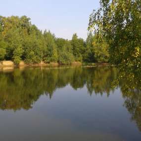 Фото объекта