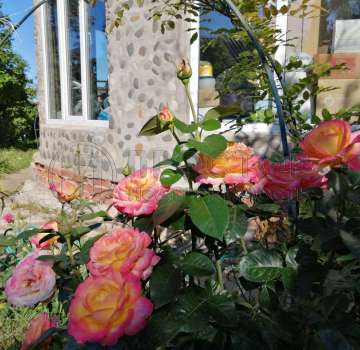 Купить загороднюю недвижимость