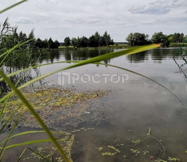 Першино Раменский Район Купить Земельный Участок