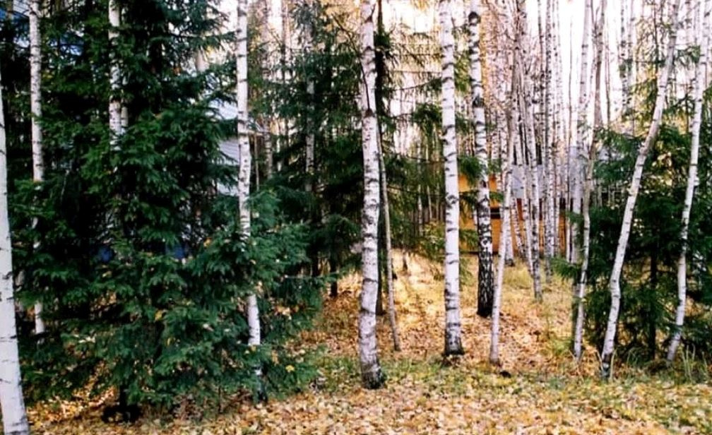 Дом, 120 м² - фото 6