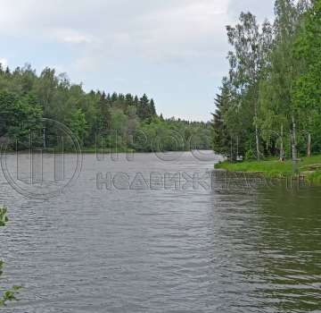 Купить загороднюю недвижимость