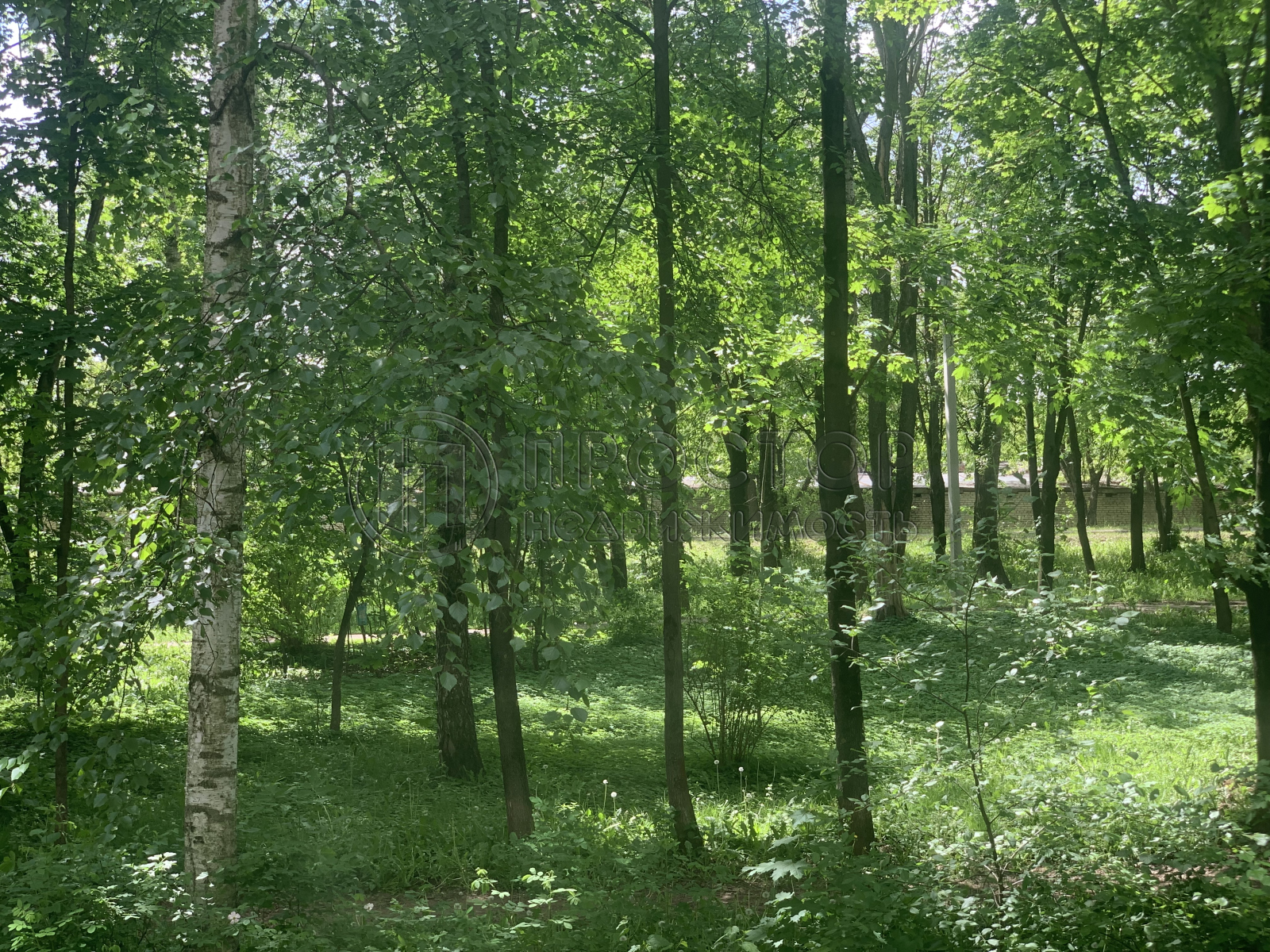 Коммерческая недвижимость, 60.1 м² - фото 6