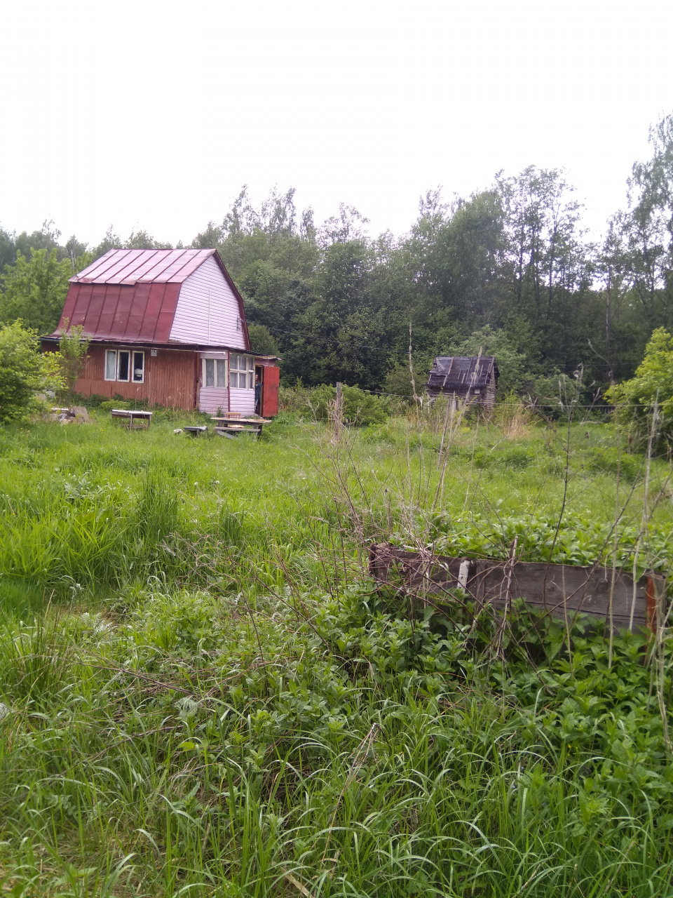Участок, 20 сот. - фото 8