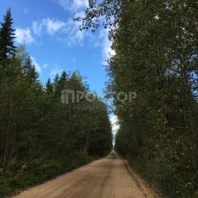Фото участка