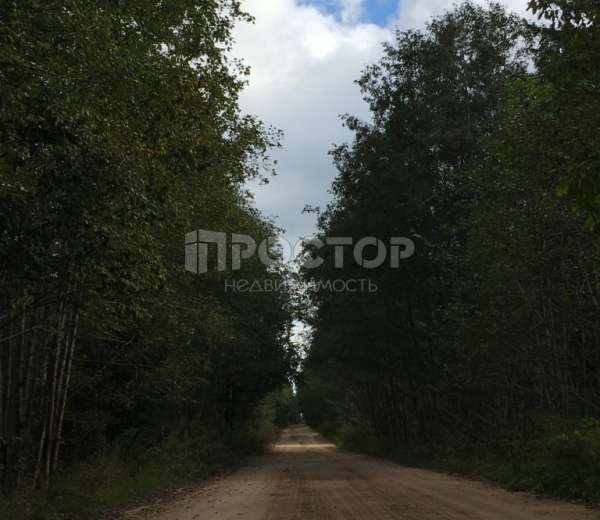 Фото участка