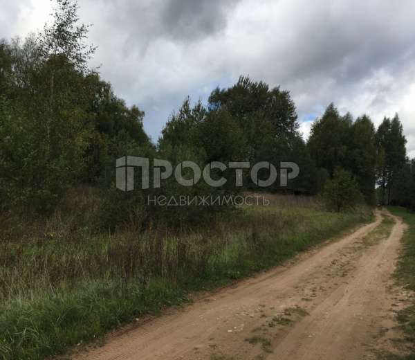 Фото участка