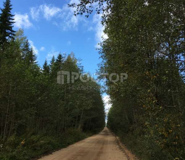 Фото участка