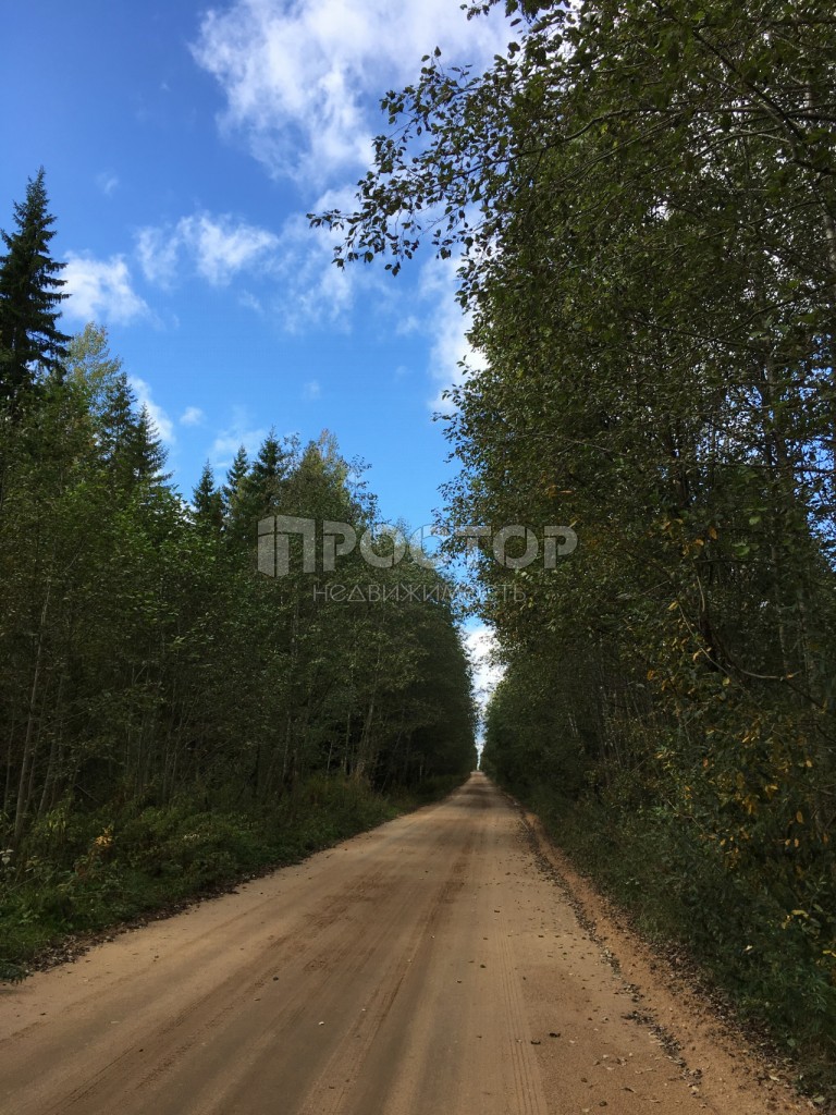 Участок, 28 сот. - фото 8