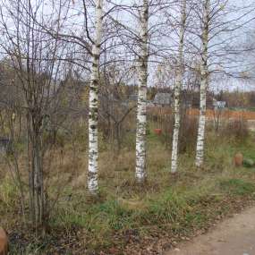 Фото участка