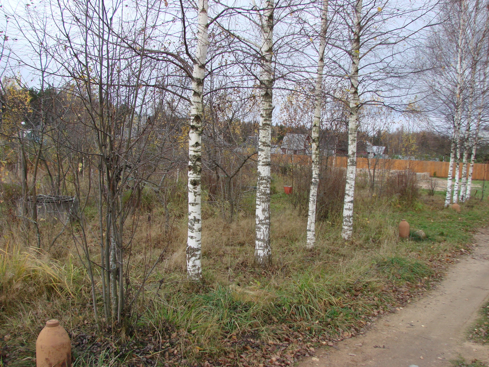 Участок, 16 сот. - фото 12
