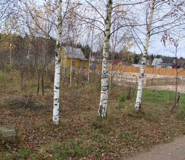 Фото участка