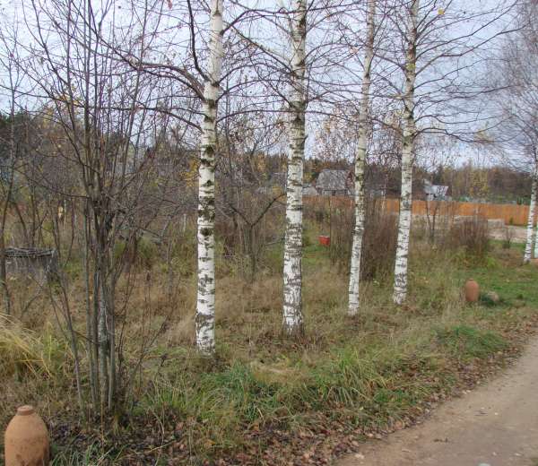 Фото участка