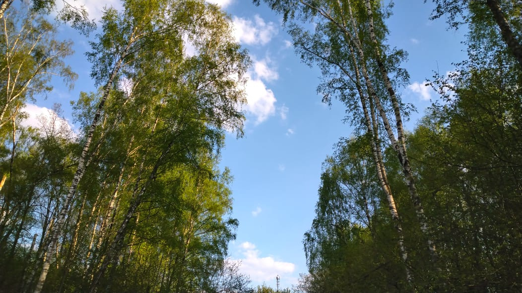 Участок, 13 сот. - фото 7