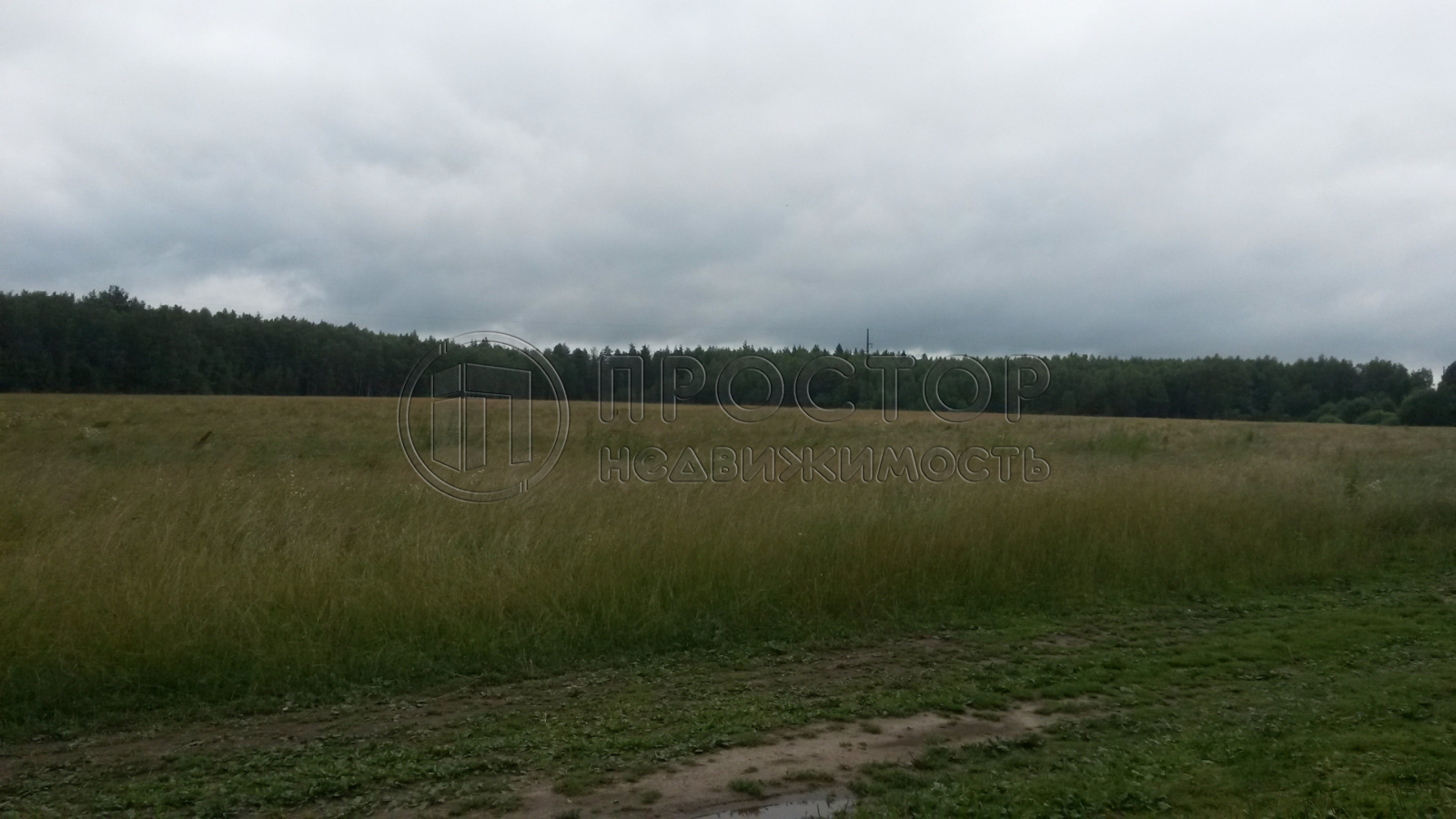 Участок, 100 сот. - фото 3