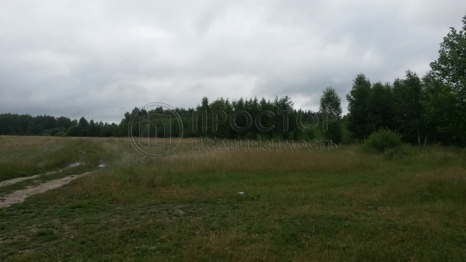 Участок, 100 сот. - фото 4