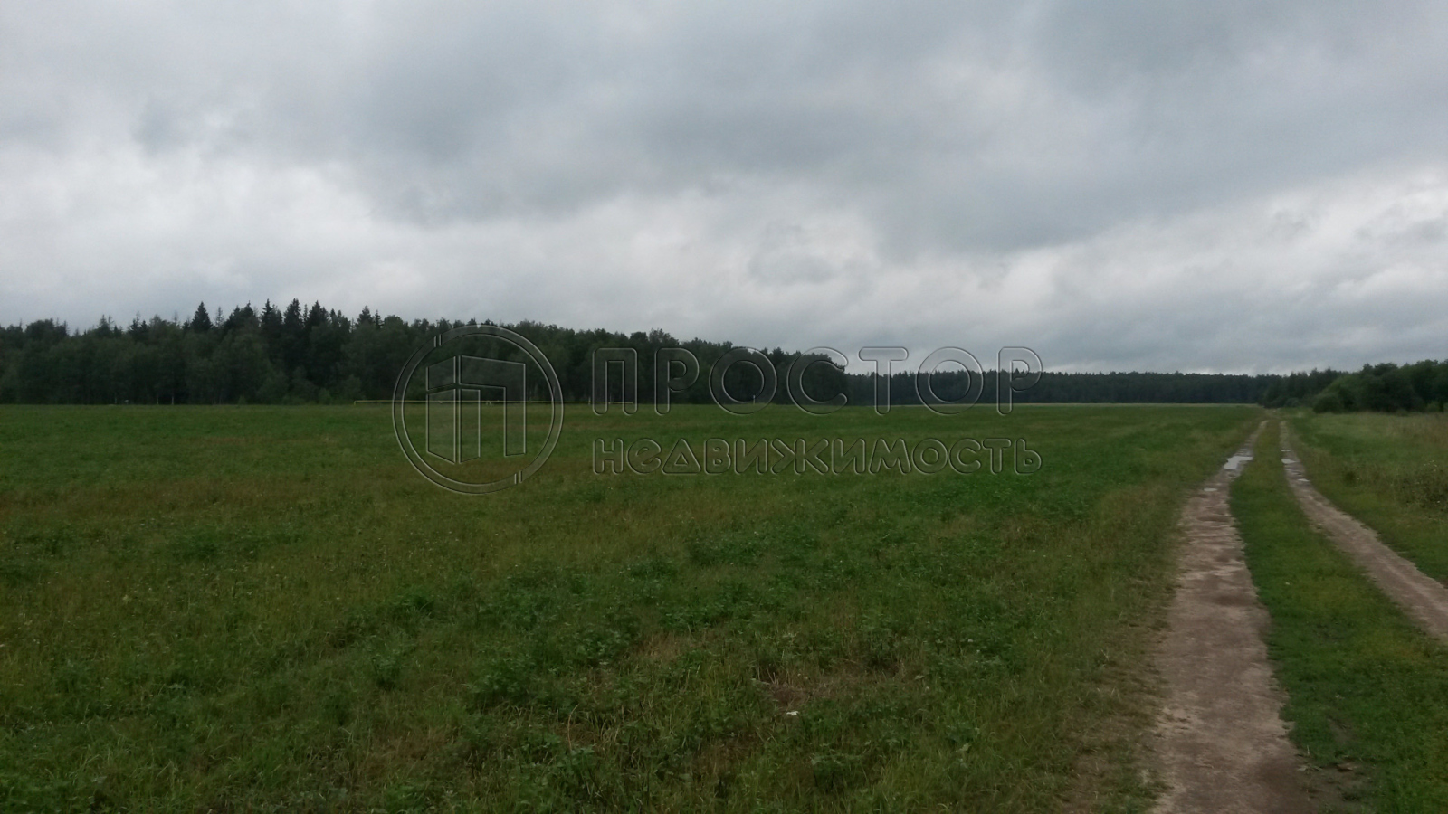 Участок, 100 сот. - фото 6