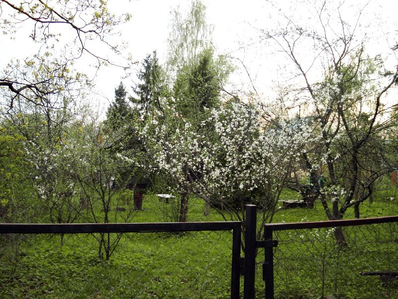 Участок, 12 сот. - фото 2
