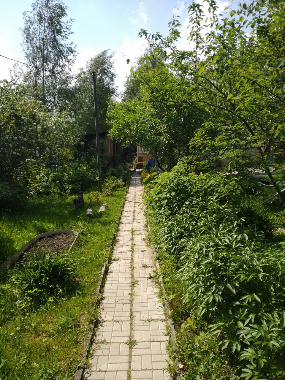 Участок, 6 сот. - фото 5