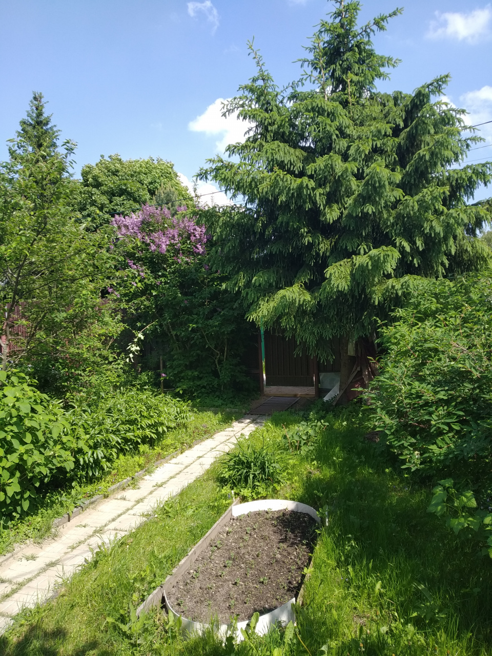Участок, 6 сот. - фото 3