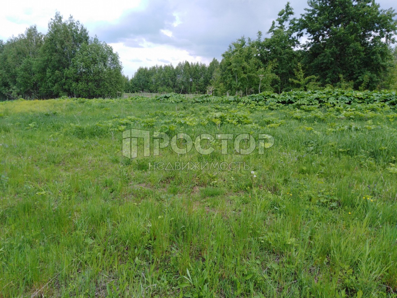 Участок, 15.2 сот. - фото 10