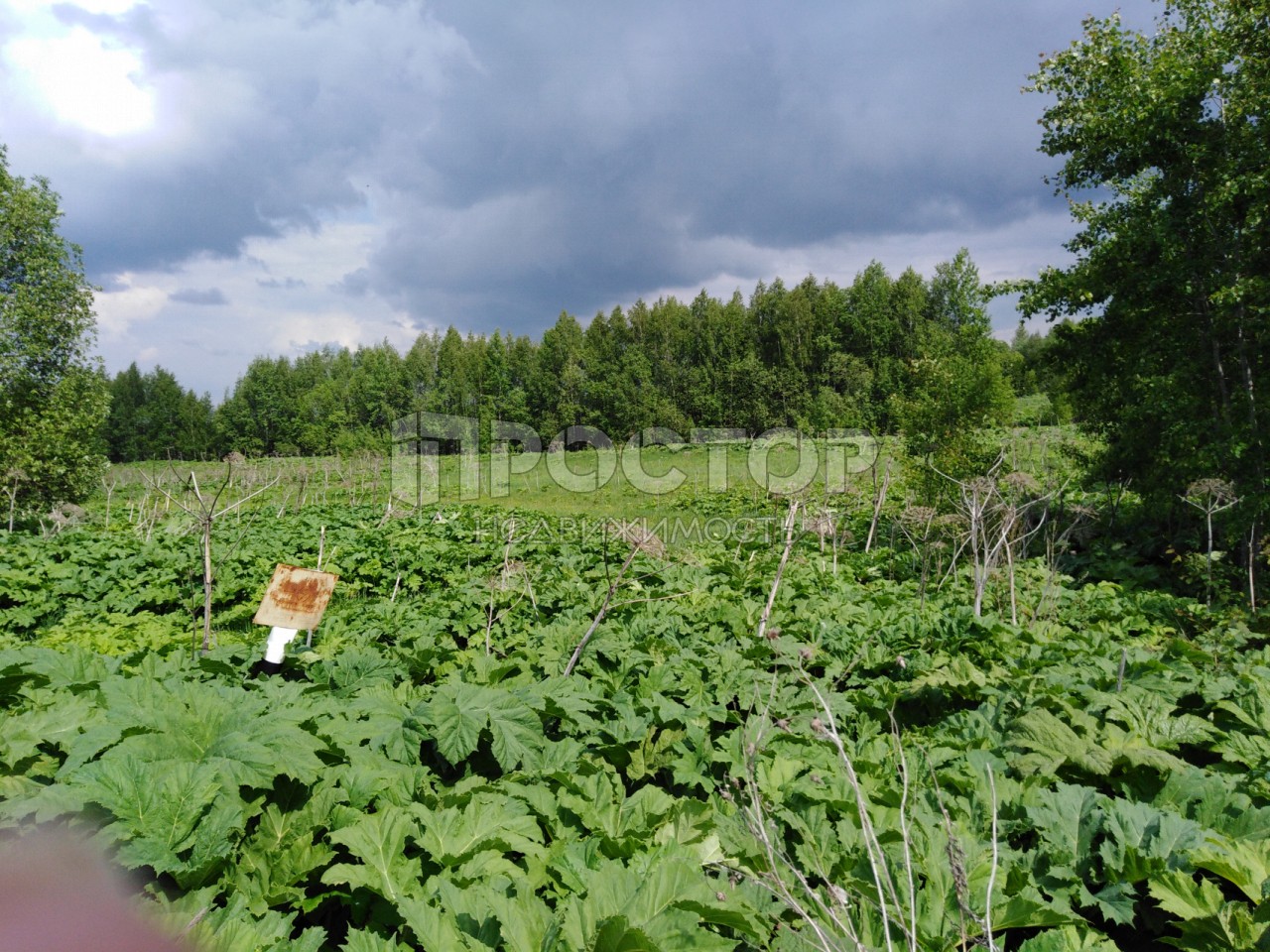 Участок, 15.2 сот. - фото 7