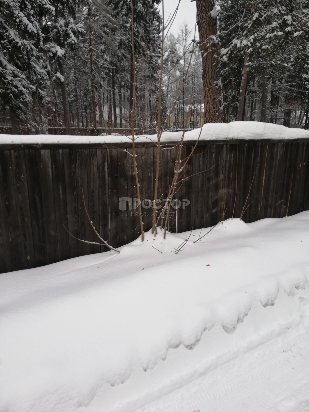 Участок, 15.6 сот. - фото 5