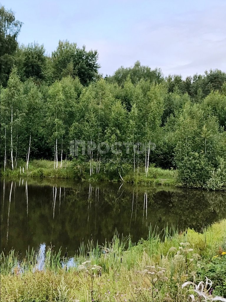 Участок, 6 сот. - фото 8