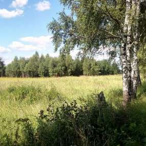 Фото участка