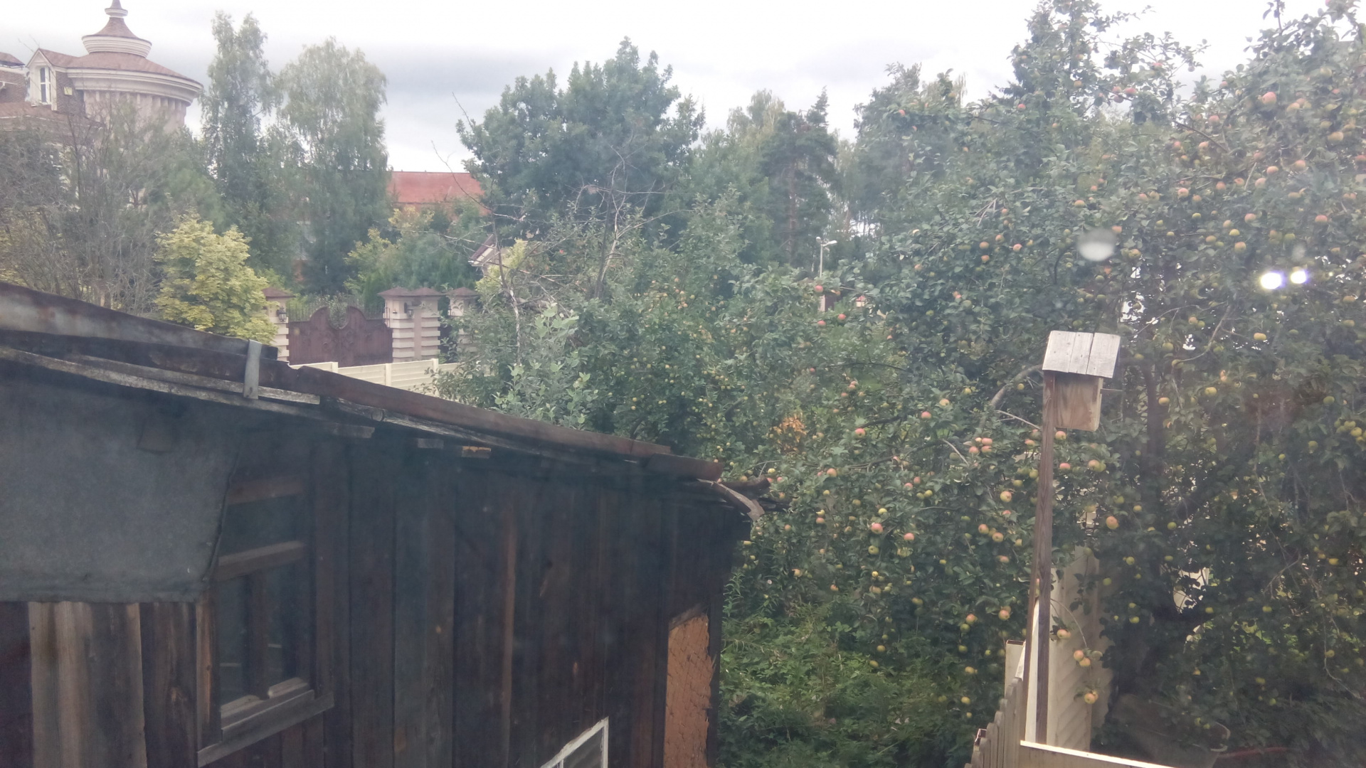 Участок, 3 сот. - фото 5