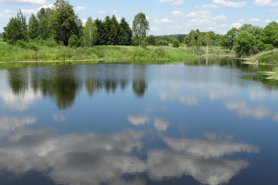 Участок, 7 сот. - фото 2