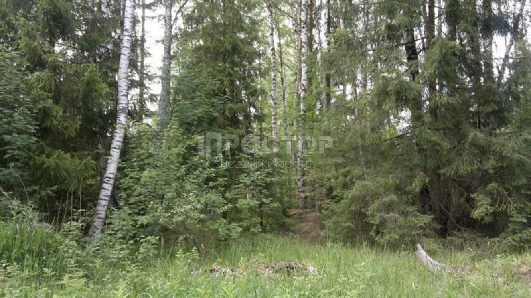 Участок, 12 сот. - фото 4