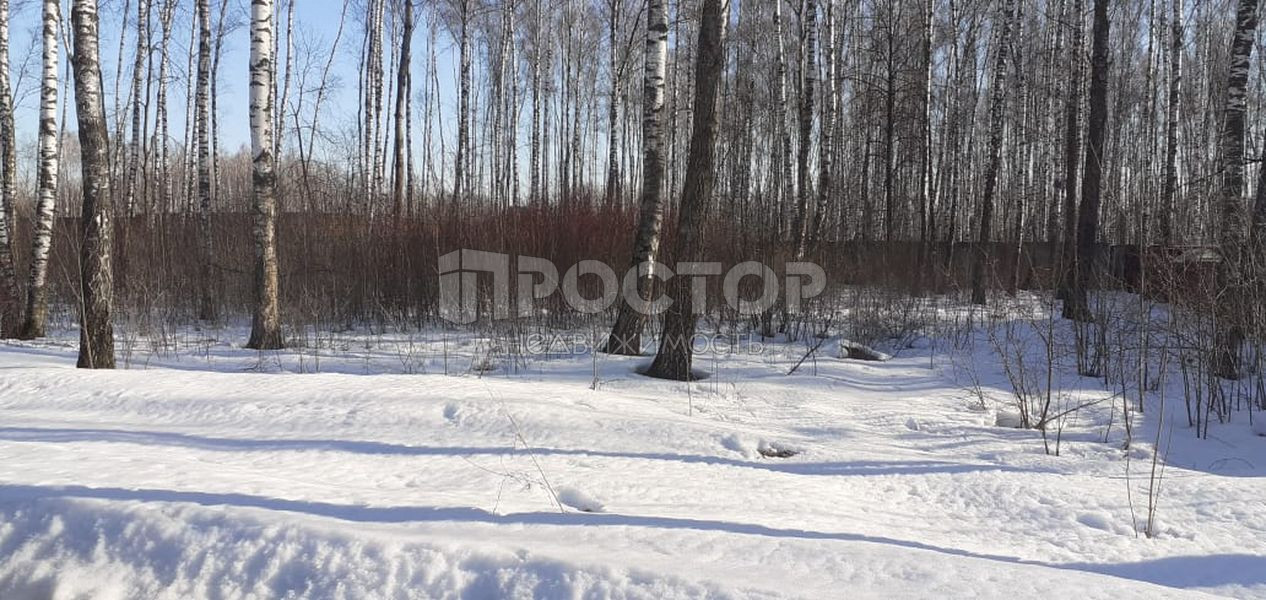 Участок, 15 сот. - фото 5