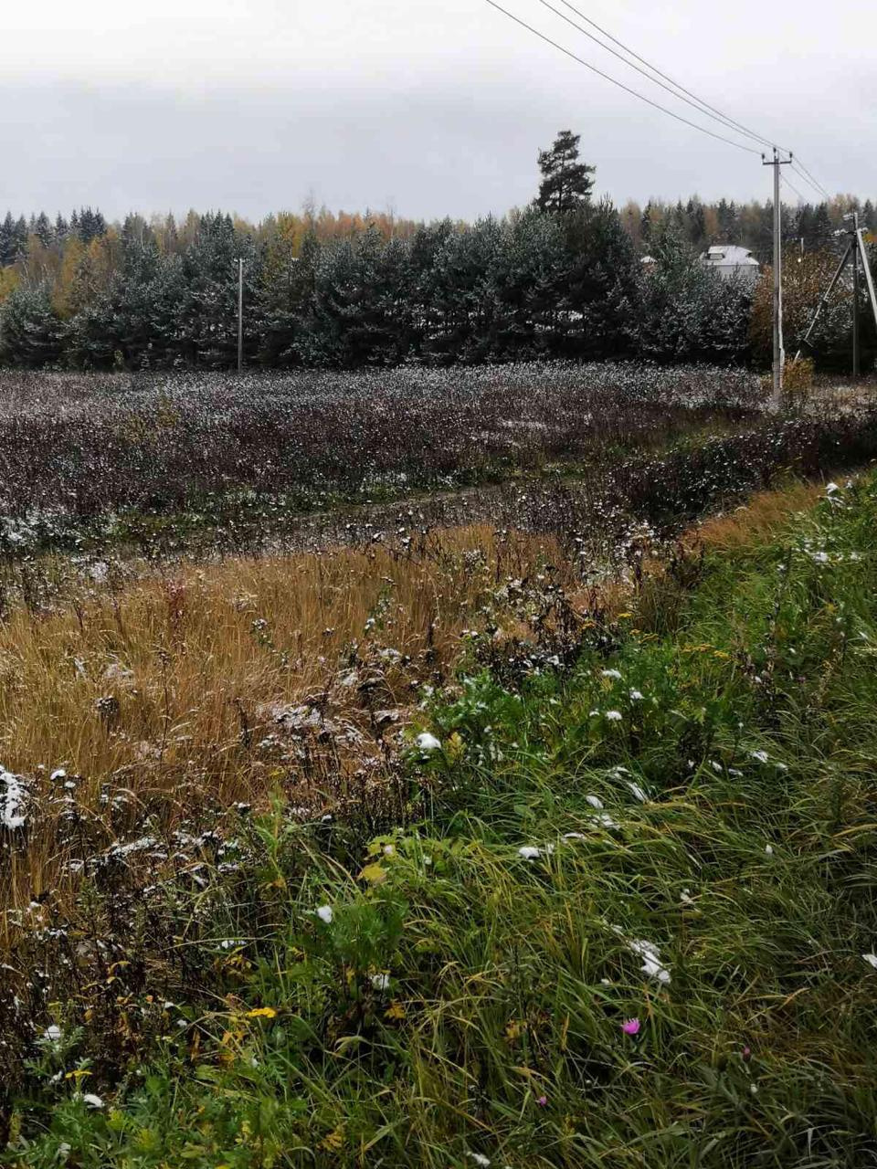 Участок, 10 сот. - фото 4