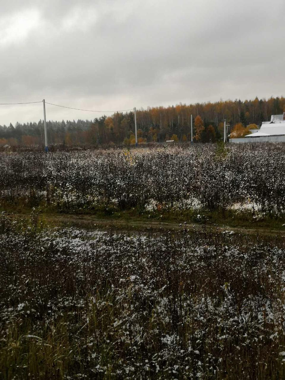 Участок, 10 сот. - фото 3