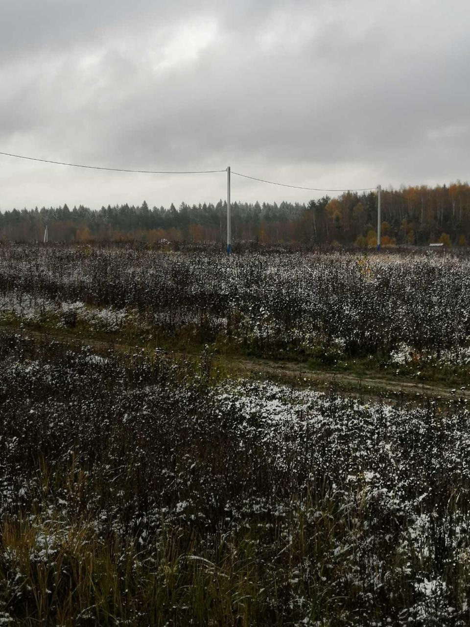 Участок, 10 сот. - фото 8