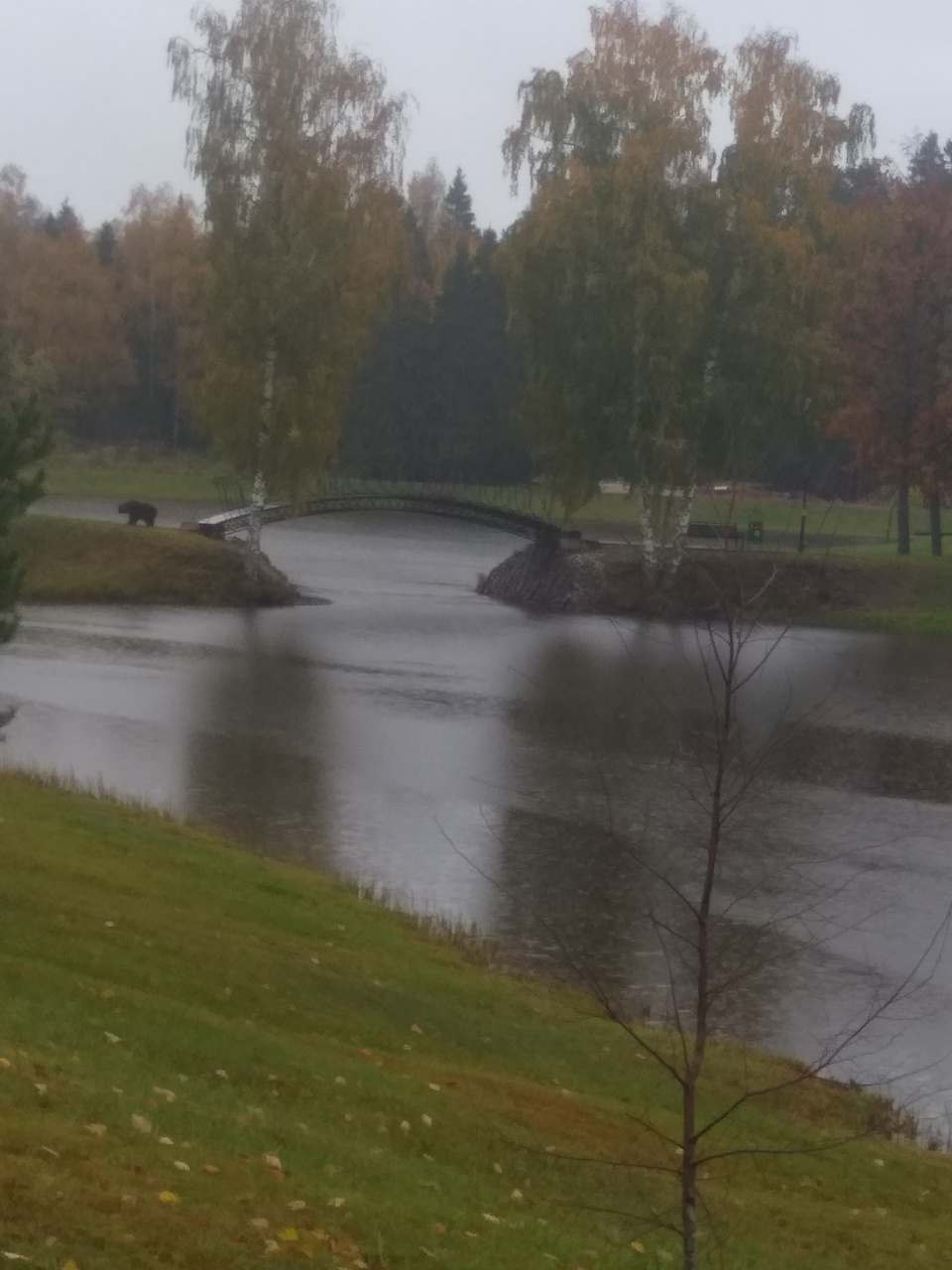 Участок, 8 сот. - фото 4