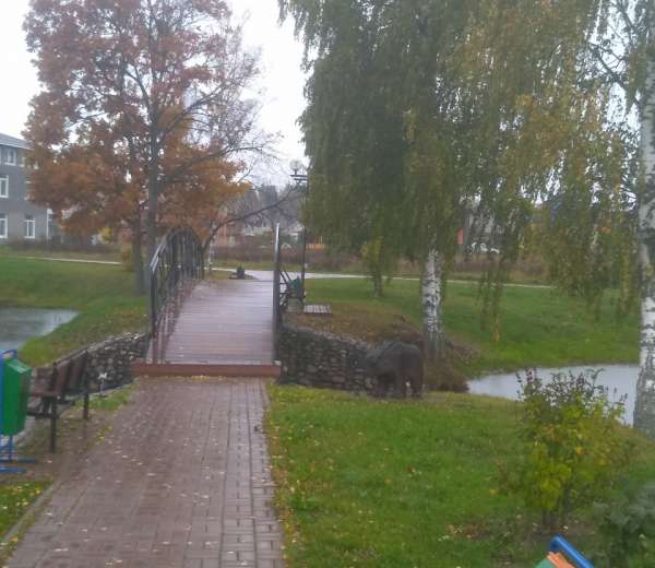 Фото участка