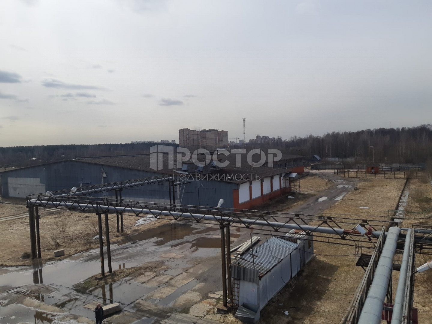 Участок, 934.03 сот. - фото 6
