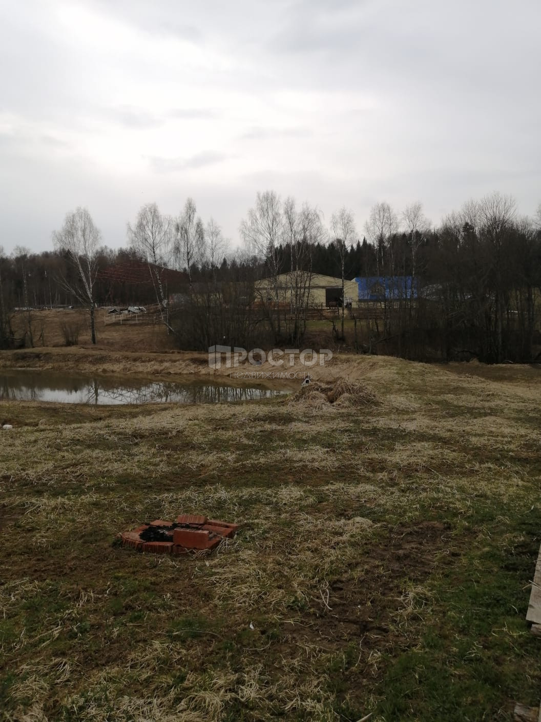 Участок, 250 сот. - фото 6