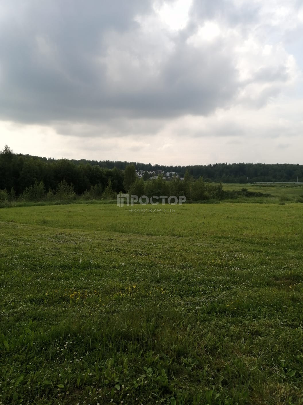 Участок, 250 сот. - фото 34