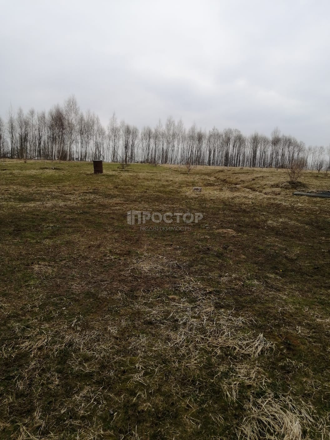 Участок, 250 сот. - фото 32