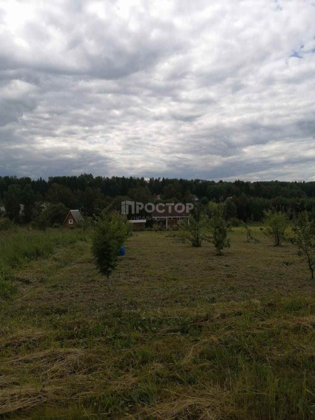 Участок, 250 сот. - фото 3