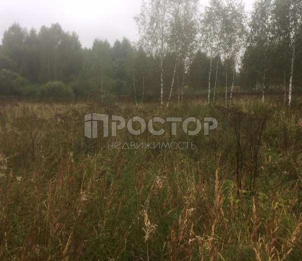 Фото участка