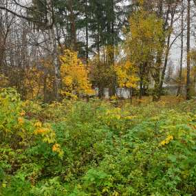 Фото участка