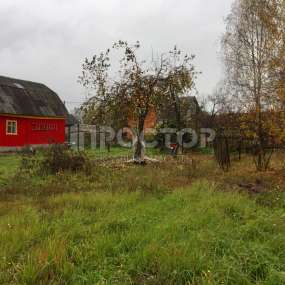 Фото участка