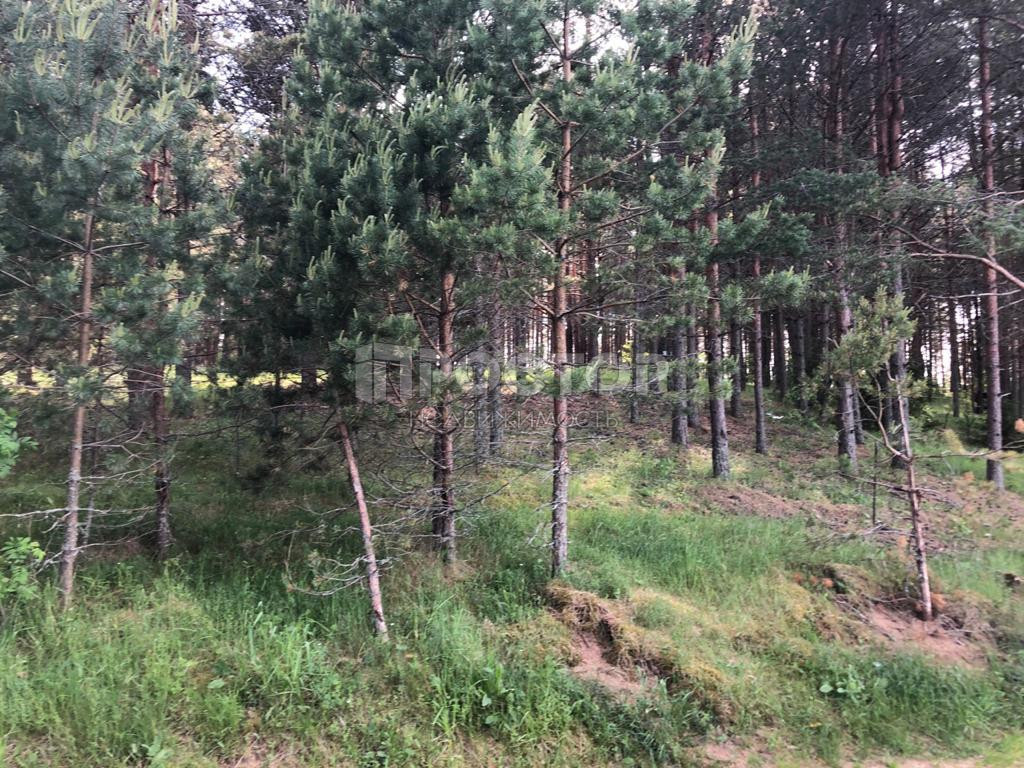 Участок, 220 сот. - фото 2