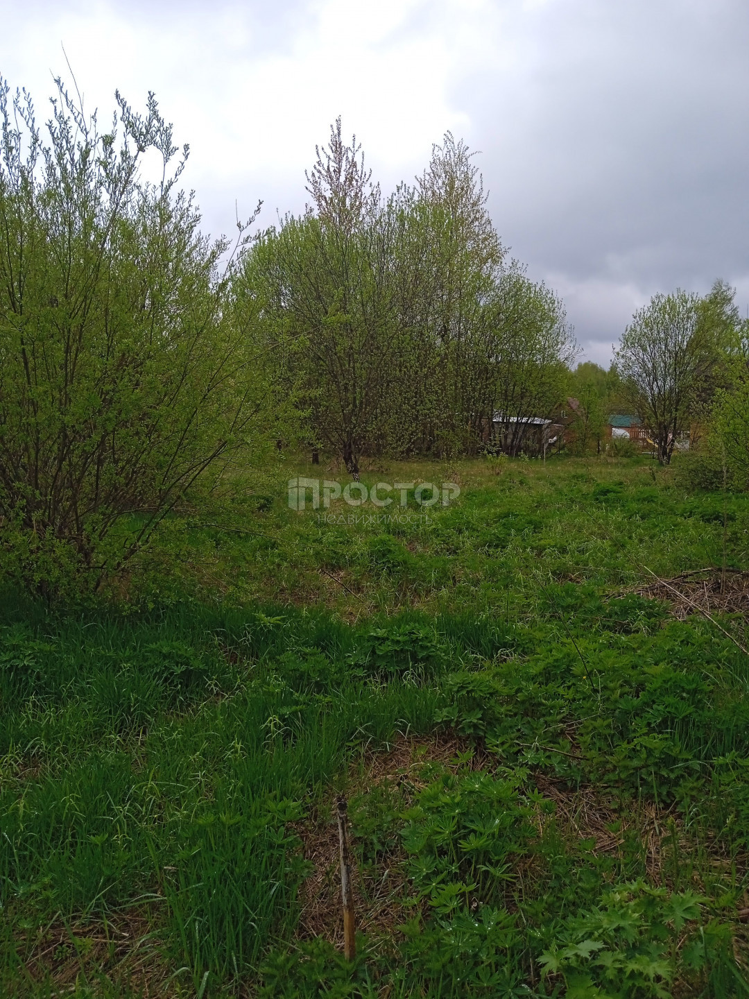 Участок, 12 сот. - фото 9