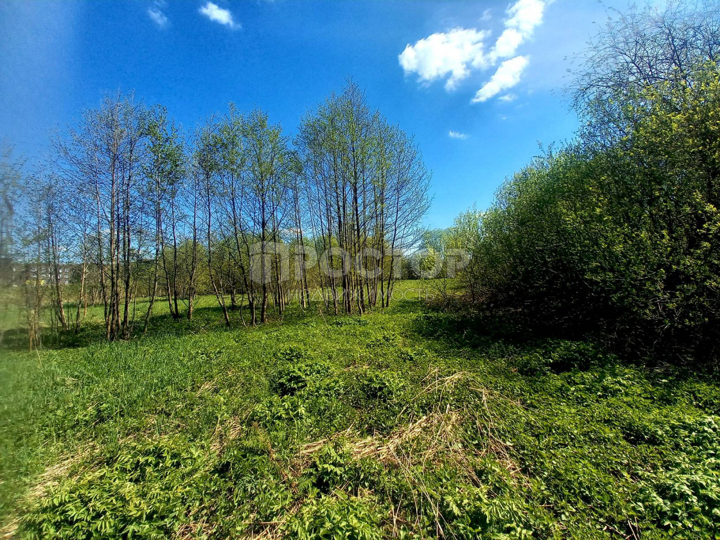 Участок, 71 сот. - фото 10