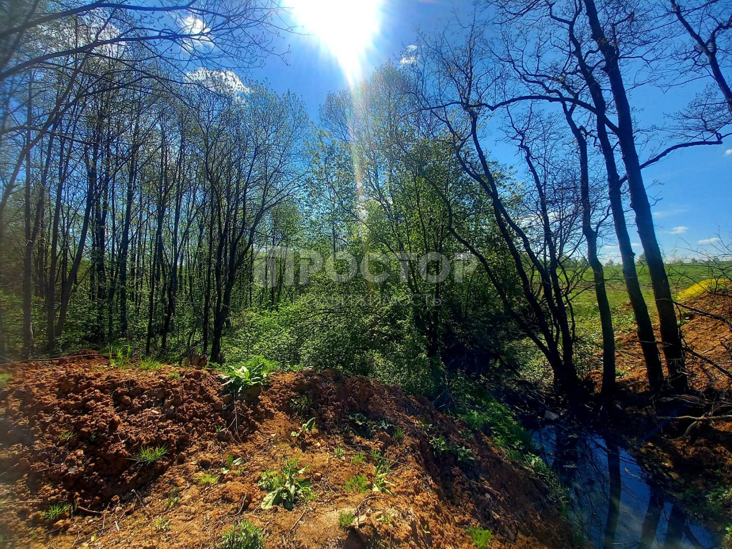 Участок, 71 сот. - фото 9