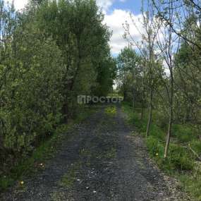 Фото участка